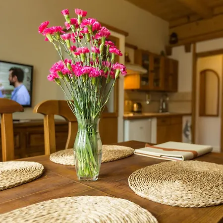 Bed & Breakfast Bambi Boutique